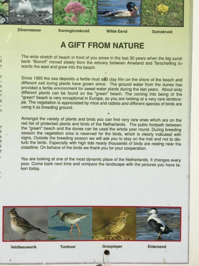 Sonnevanck Ameland Ballum Екстериор снимка